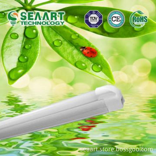 T5 LED Tube 0.3M 5W SMD3014 high power